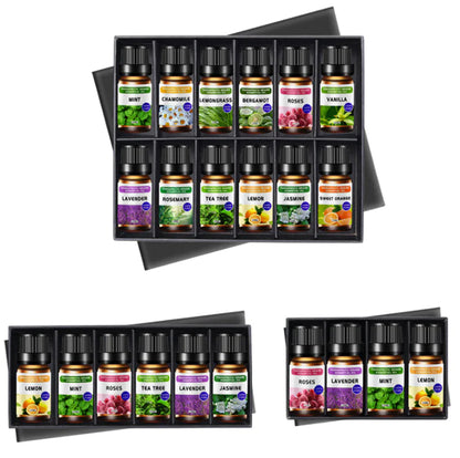 6-Piece Aromatherapy Massage Oil Set (10 ML Each)